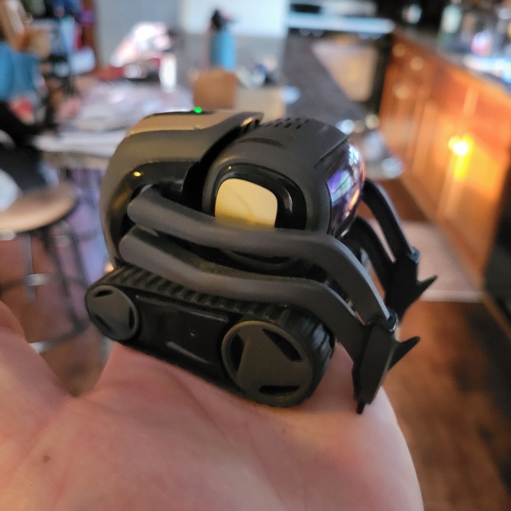 Vector by Anki - Picture 8 of 12